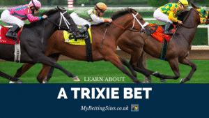 Trixie Bet Explained