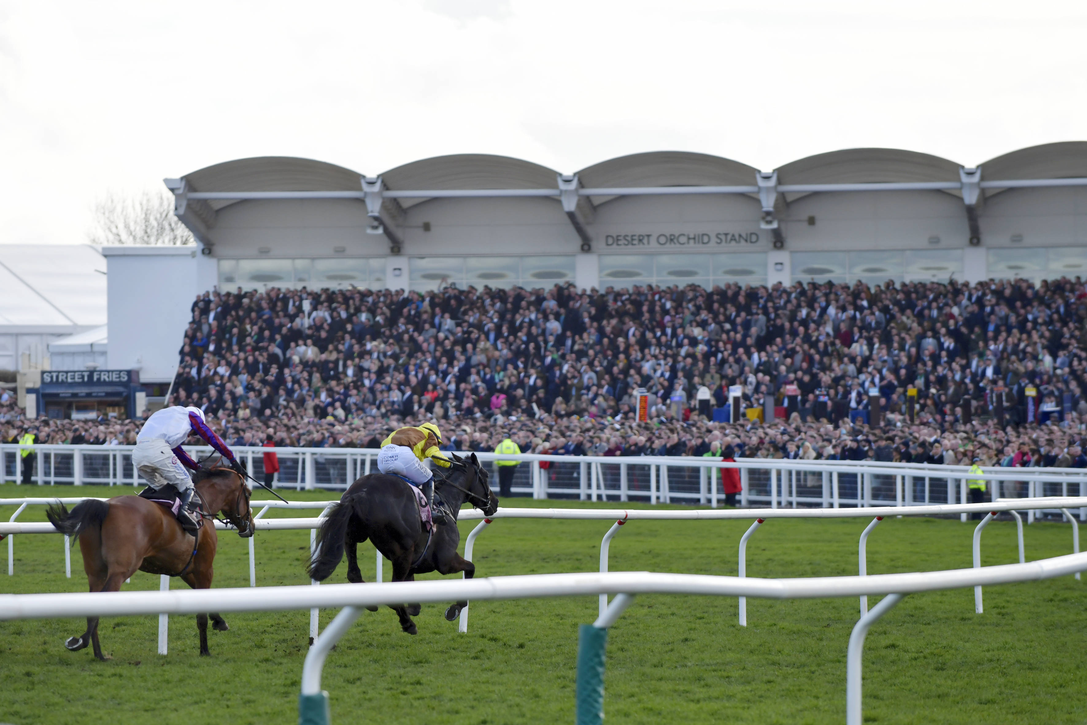 cheltenham festival 2023