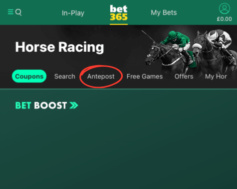 bet365 horse racing page