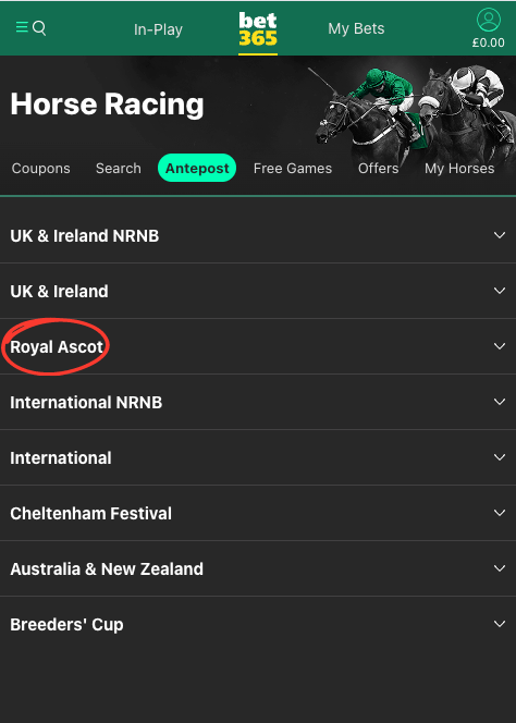 bet365 royal ascot