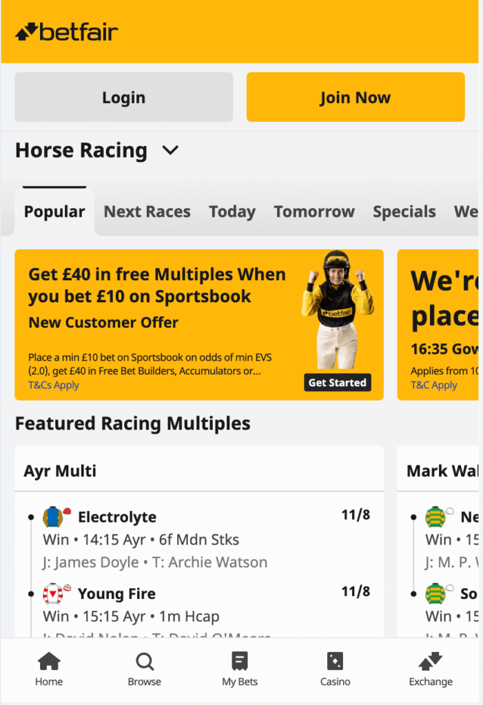 betfair horse racing betting