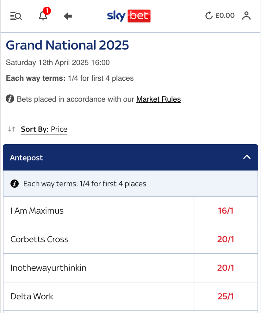 Grand National Home Page Sky Bet