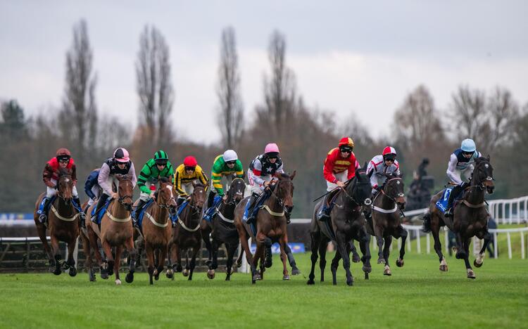 Horse Racing Latest News MyBettingSites co uk Horse Racing Latest News MyBettingSites co uk