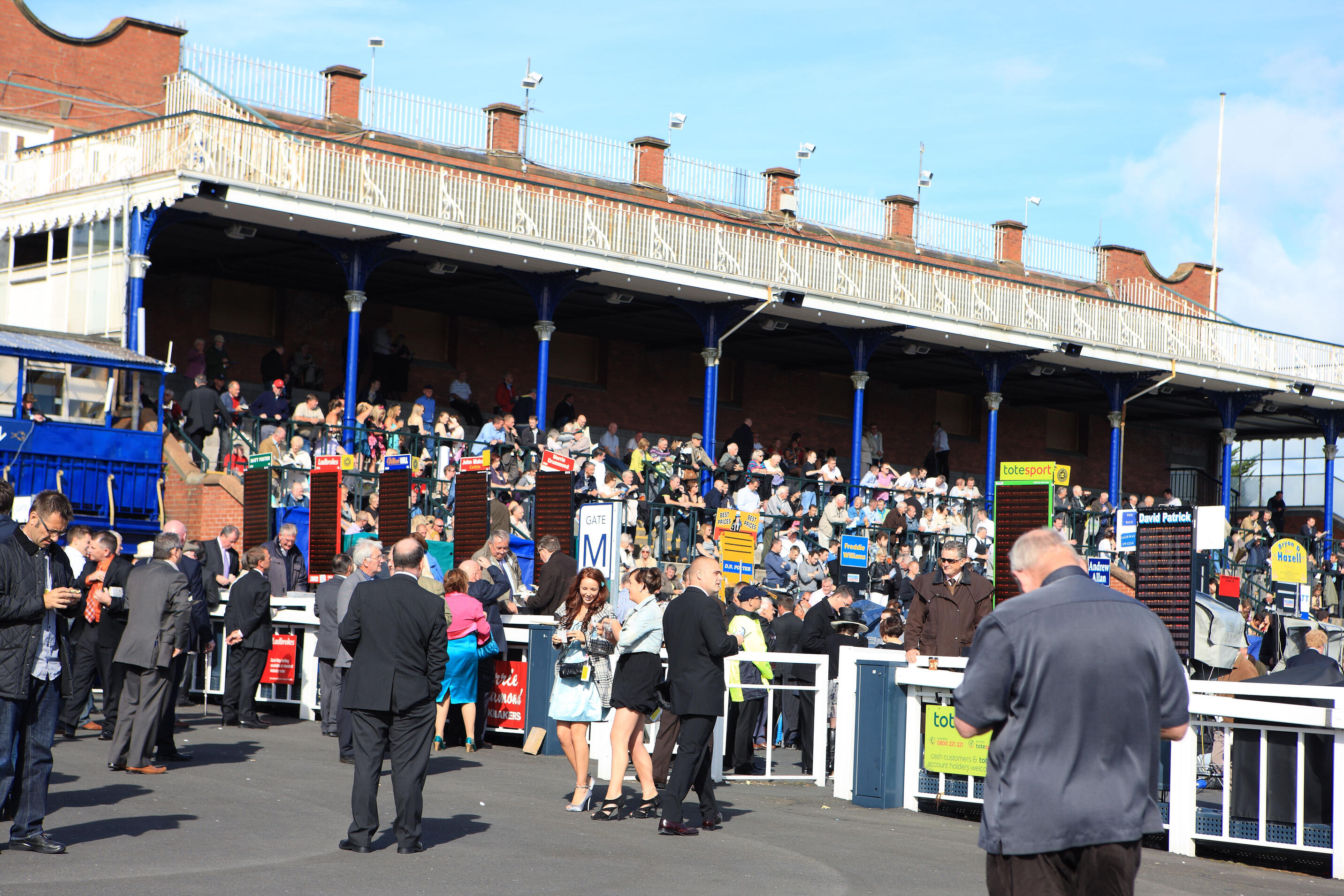 Ayr Gold Cup